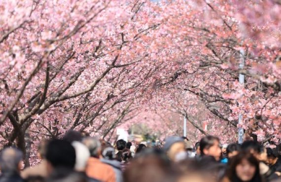 La Voluntad de Dios en la sociedad