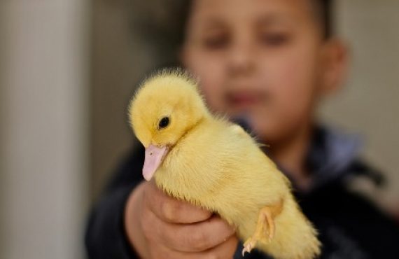 Dios  nos pide que seamos como niños