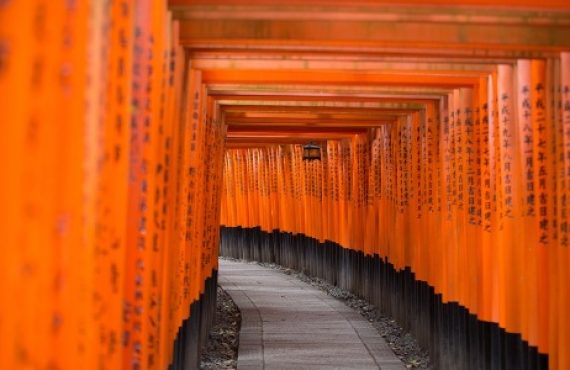 Chiara Lubich Ir más allá del dolor SD