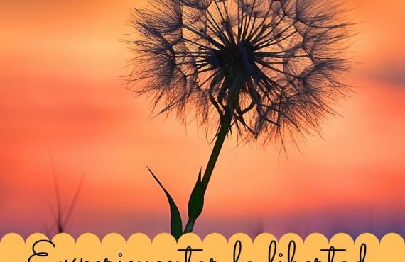 Pasapalabra 20 08 19