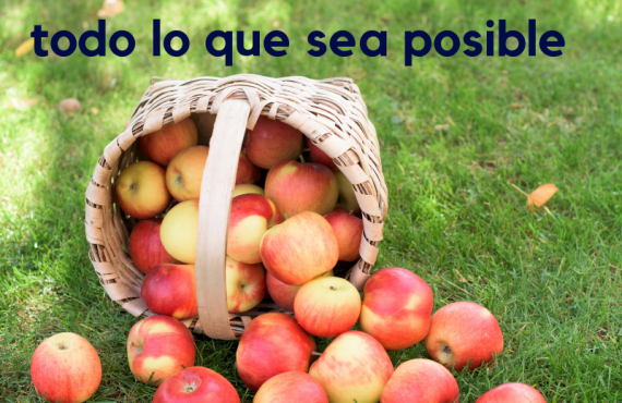 Pasapalabra 24 08 19