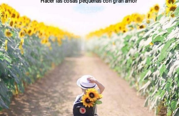 Pasapalabra 26 08 19