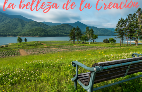 Pasapalabra 31 08 19