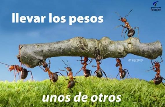 Pasapalabra | LLEVAR LOS PESOS UNOS DE OTROS