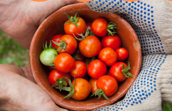 Pasapalabra | COMPARTIR LOS BIENES MATERIALES Y LOS TALENTOS