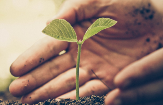 Pasapalabra | LA SALVAGUARDIA DE LA CREACIÓN TAMBIÉN COMIENZA POR MÍ