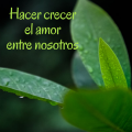 Pasapalabra | HACER CRECER EL AMOR ENTRE NOSOTROS