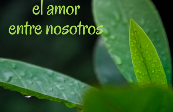 Pasapalabra | HACER CRECER EL AMOR ENTRE NOSOTROS