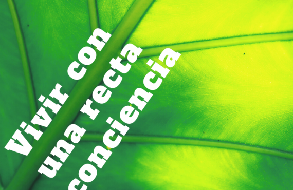 Pasapalabra | VIVIR CON UNA RECTA CONCIENCIA