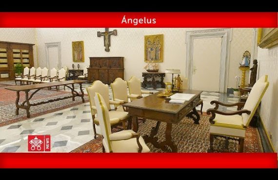 Inmersos en la Gracia hemos sido Arrancados del Pecado  para convertirnos en Luz | Angelus