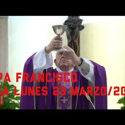 SANTA MISA – PAPA FRANCISCO-Orar  y elevar todo nuestro ser a Dios