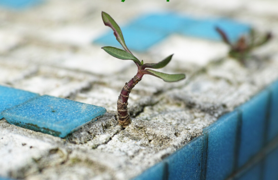 Pasapalabra | INCLUSO EN LA SOLEDAD, CREER Y ESPERAR