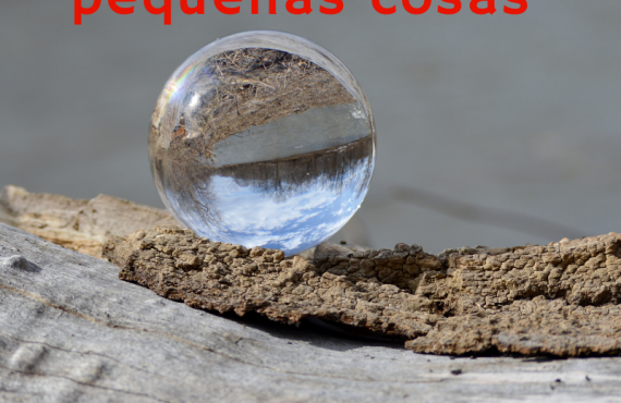 Pasapalabra | SER FIELES EN LAS PEQUEÑAS COSAS