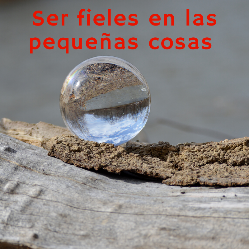 Pasapalabra | SER FIELES EN LAS PEQUEÑAS COSAS