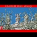 Celebración del Domingo de Ramos – Oración del Ángelus | Papa Francisco
