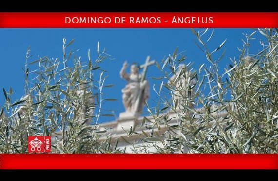 Celebración del Domingo de Ramos – Oración del Ángelus | Papa Francisco