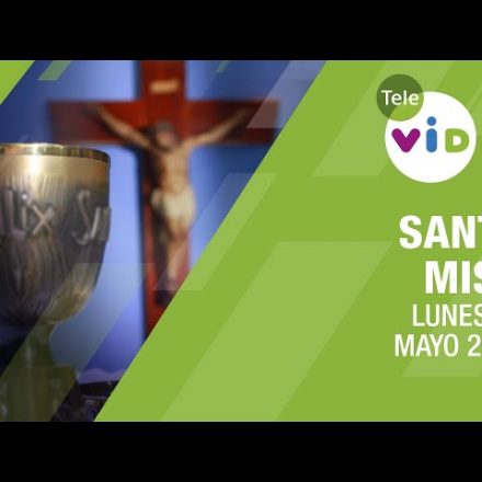 Misa de Hoy | En el Mundo tendrán lucha.. pero yo he vencido al Mundo  dice Jesús