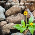 Pasapalabra | SER LIBRES DE TODOS LOS APEGOS