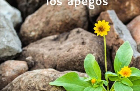 Pasapalabra | SER LIBRES DE TODOS LOS APEGOS