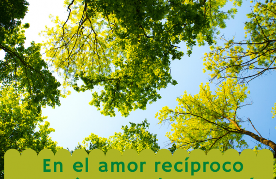 Pasapalabra | EN EL AMOR RECÍPROCO EXPERIMENTAR LA CERCANÍA CON DIOS