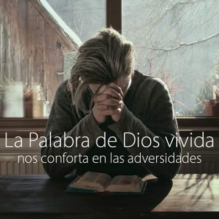 Pasapalabra | LA PALABRA DE DIOS VIVIDA NOS CONFORTA EN LAS ADVERSIDADES