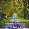 Pasapalabra | CAMINEMOS A LA LUZ DE LA PALABRA