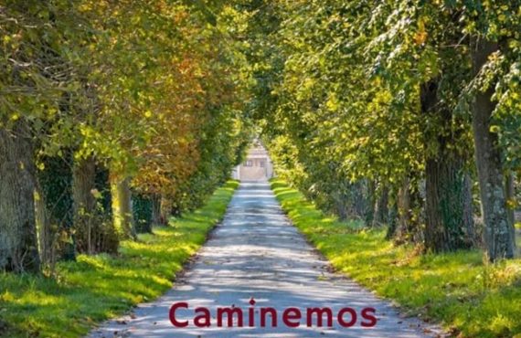 Pasapalabra | CAMINEMOS A LA LUZ DE LA PALABRA