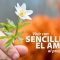 Pasapalabra | VIVIR CON SENCILLEZ EL AMOR AL PRÓJIMO