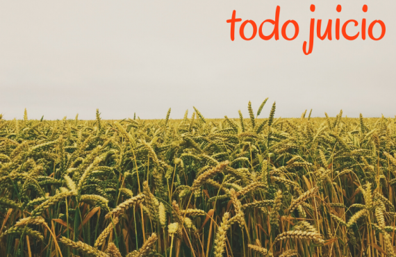 Pasapalabra | ELIMINAR EN NOSOTROS TODO JUICIO