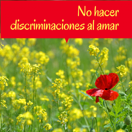 Pasapalabra | NO HACER DISCRIMINACIONES AL AMAR