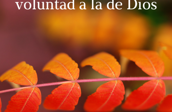 Pasapalabra | AMOLDAR NUESTRA VOLUNTAD A LA DE DIOS