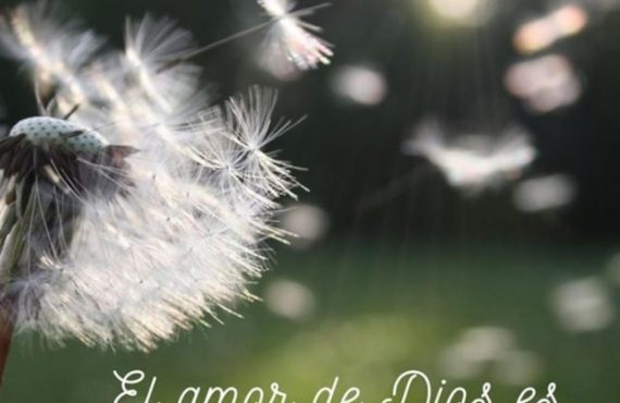 Pasapalabra | EL AMOR DE DIOS ES FUENTE DE LIBERTAD