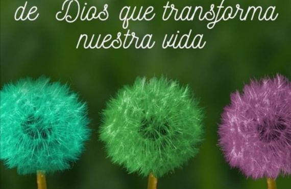 Pasapalabra | ABANDONARNOS AL AMOR DE DIOS QUE TRANSFORMA NUESTRA VIDA