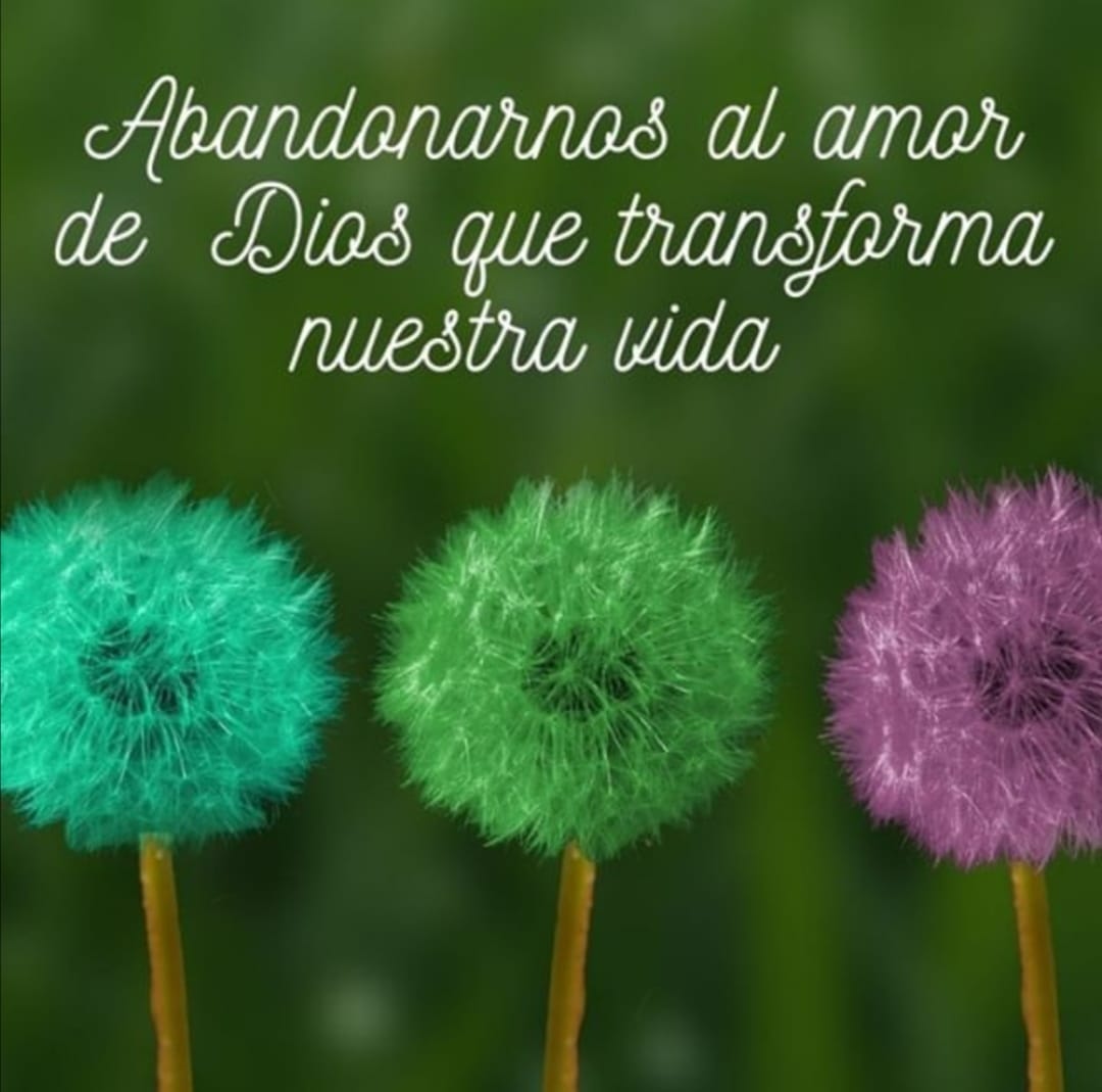 Pasapalabra | ABANDONARNOS AL AMOR DE DIOS QUE TRANSFORMA NUESTRA VIDA