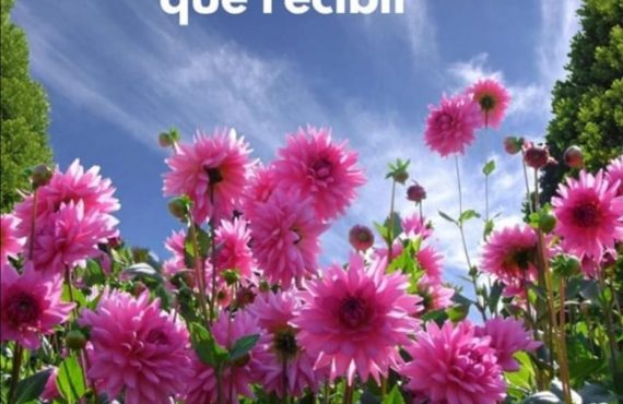 Pasapalabra | EL DAR DA MÁS ALEGRÍA QUE EL RECIBIR