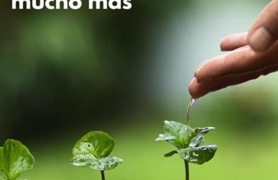 Pasapalabra | CUANDO SE DA SE RECIBE MUCHO MÁS