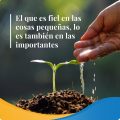 Pasapalabra | EL QUE ES FIEL EN LAS COSAS PEQUEÑAS, LO ES TAMBIÉN EN LAS IMPORTANTES