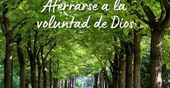 Pasapalabra | AFERRARSE A LA VOLUNTAD DE DIOS
