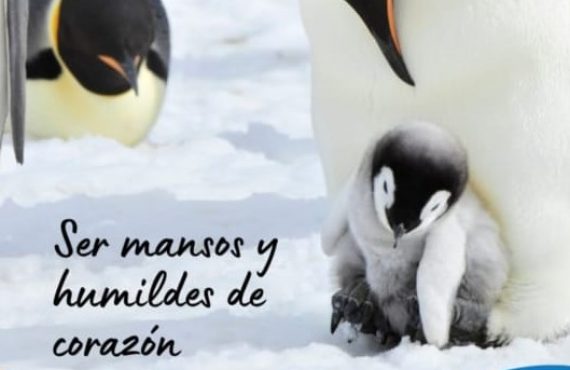 Pasapalabra | SER MANSOS Y HUMILDES DE CORAZÓN