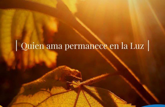 Pasapalabra | QUIEN AMA PERMANECE EN LA LUZ