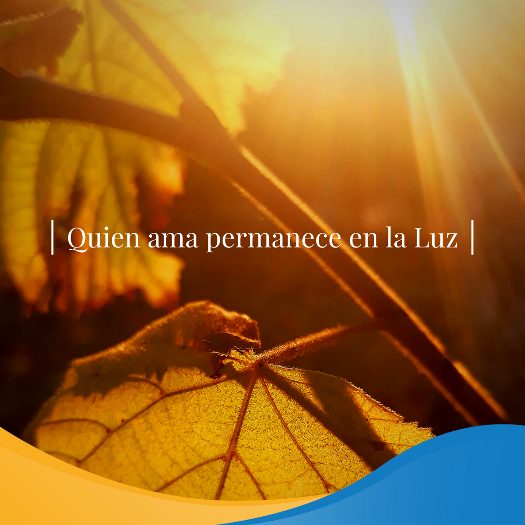 Pasapalabra | QUIEN AMA PERMANECE EN LA LUZ