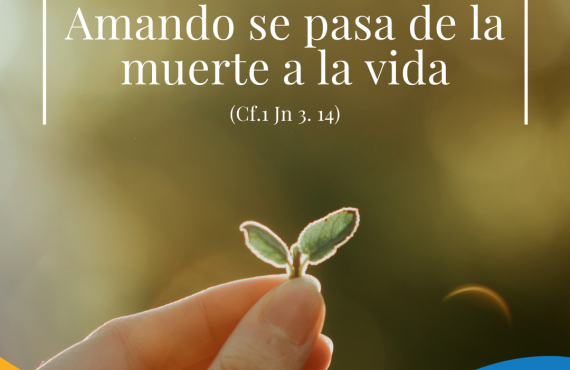 Pasapalabra | AMANDO SE PASA DE LA MUERTE A LA VIDA (Cf.1Jn 3,14)
