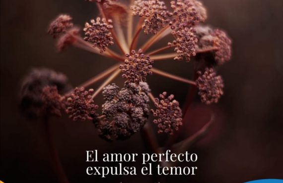 Pasapalabra | EL AMOR PERFECTO EXPULSA EL TEMOR (1Jn. 4,18)