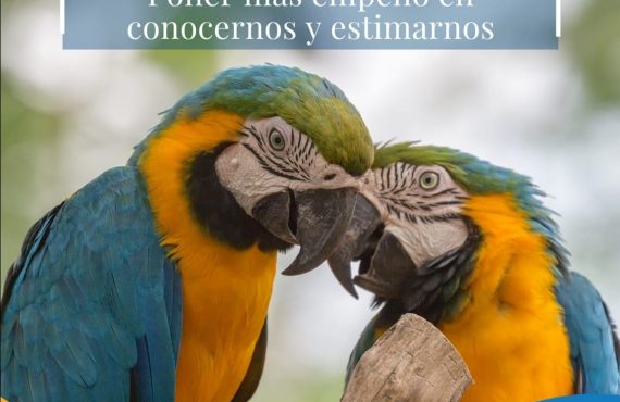 Pasapalabra | PONER MÁS EMPEÑO EN CONOCERNOS Y ESTIMARNOS