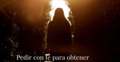 Pasapalabra | PEDIR CON FE PARA OBTENER (Cf. Mt 21,22)