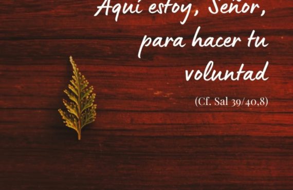 Pasapalabra | AQUÍ ESTOY, SEÑOR, PARA HACER TU VOLUNTAD. (Cf. Sal 39/40,8)