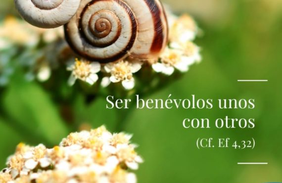Pasapalabra | SER BENÉVOLOS UNOS CON OTROS (Cf. Ef 4,32)