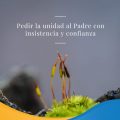 Pasapalbra | PEDIR LA UNIDAD AL PADRE CON INSISTENCIA Y CONFIANZA