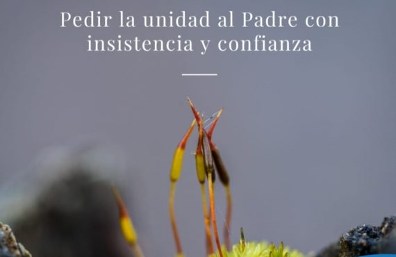 Pasapalbra | PEDIR LA UNIDAD AL PADRE CON INSISTENCIA Y CONFIANZA