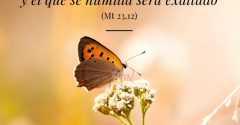Pasapalabra | PORQUE EL QUE SE ENSALZA SERÁ HUMILLADO, Y EL QUE SE HUMILLA SERÁ ENSALZADO (Mt 23,12)